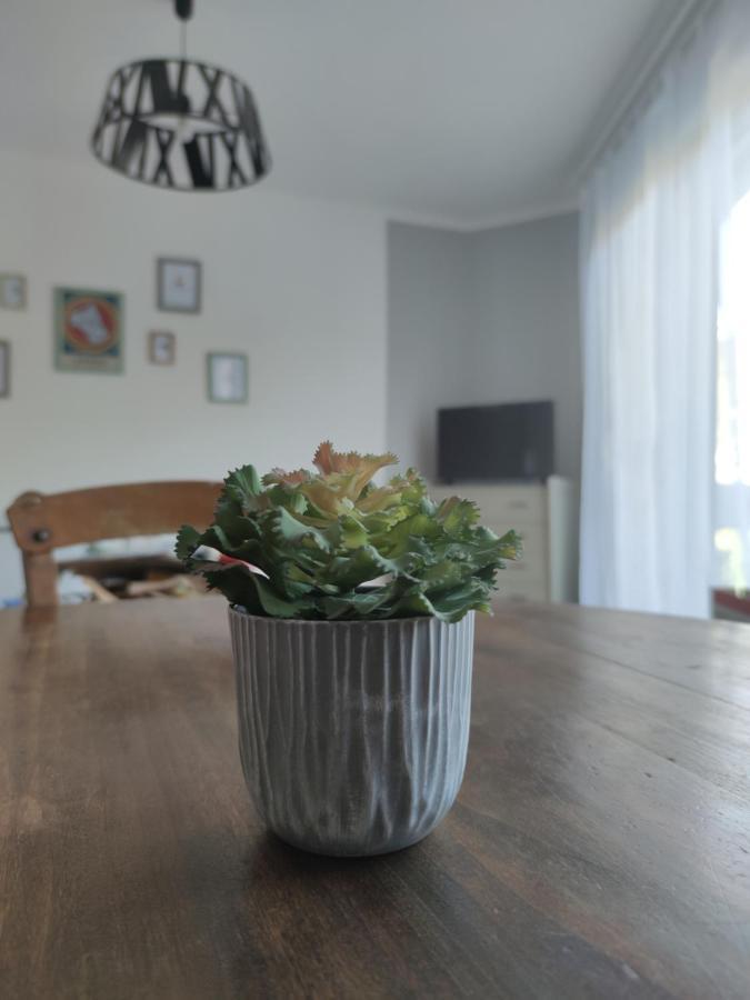Les Plantades Aveyronnaises Leilighet Saint-Georges-de-Luzençon Eksteriør bilde